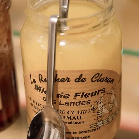 Etoile Park Hotel 3*